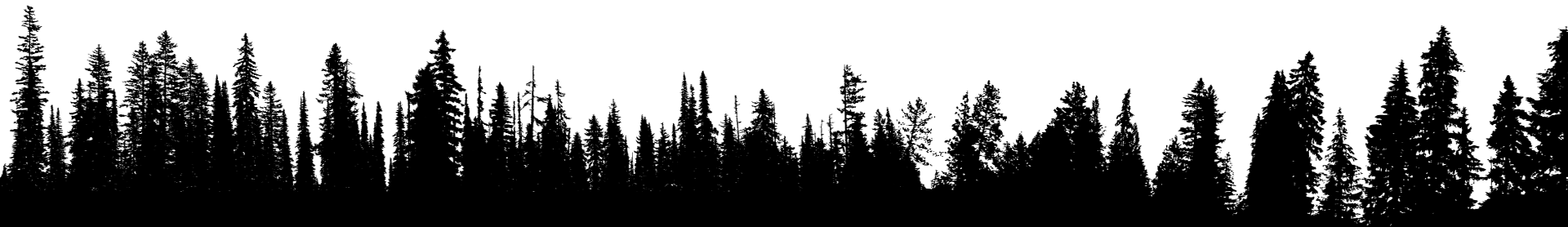 St. Germain ATV Club Footer Trees